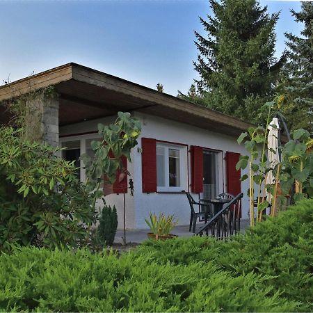 Cozy Holiday Home In G Ntersberge With Garden Güntersberge Екстериор снимка