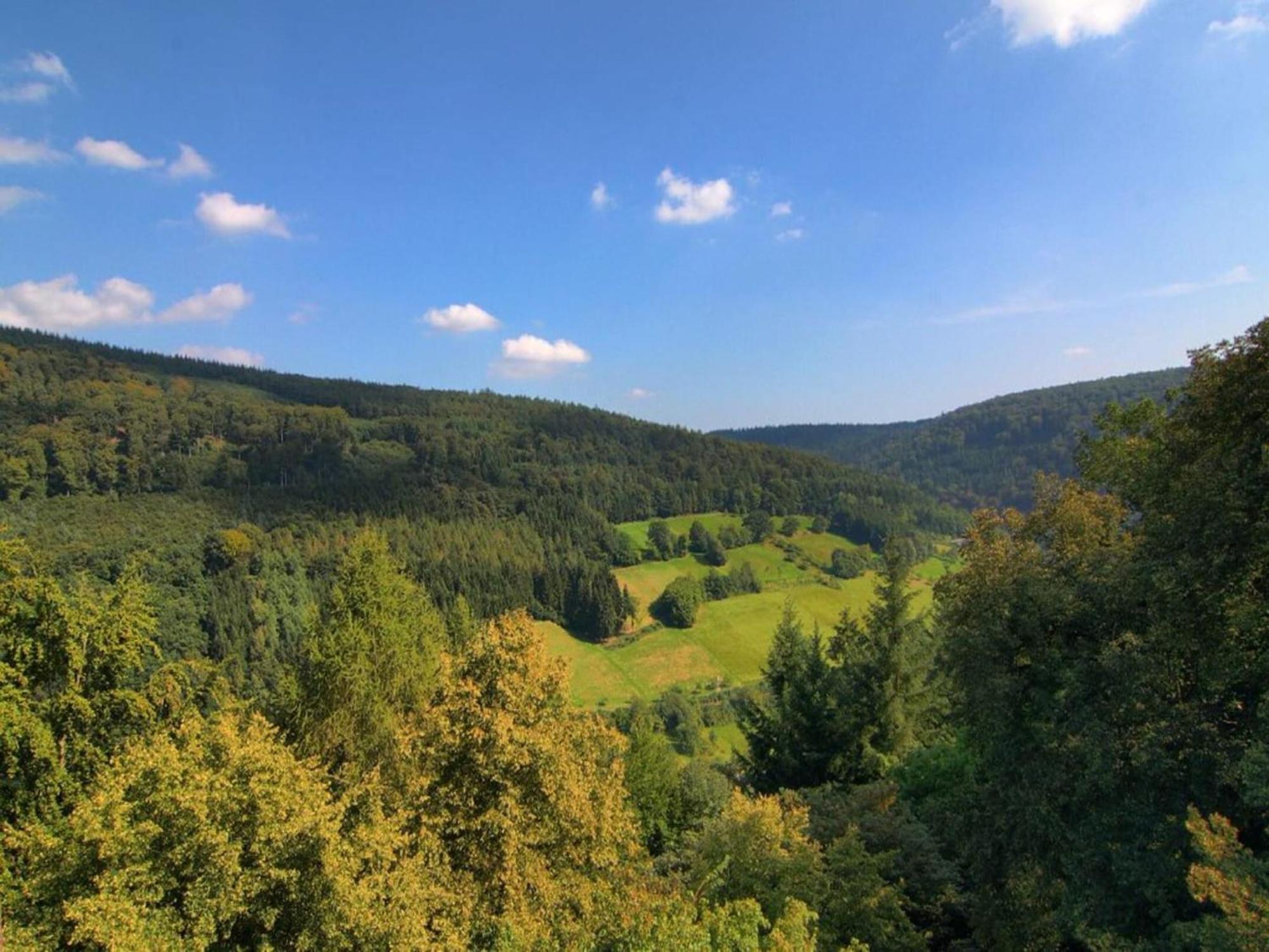 Cozy Holiday Home In G Ntersberge With Garden Güntersberge Екстериор снимка